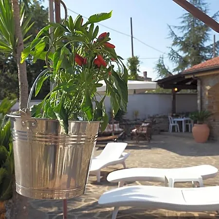 Bed and breakfast Fasolino