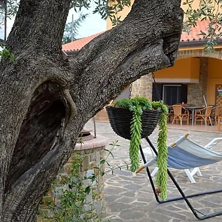 Fasolino Bed and breakfast