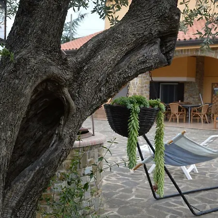Bed & Breakfast Fasolino 3*